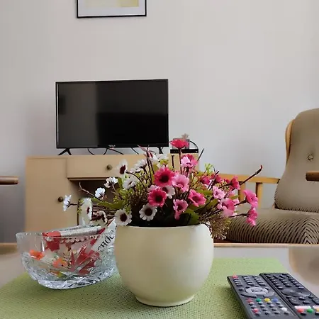 Apartman Andelici 아파트